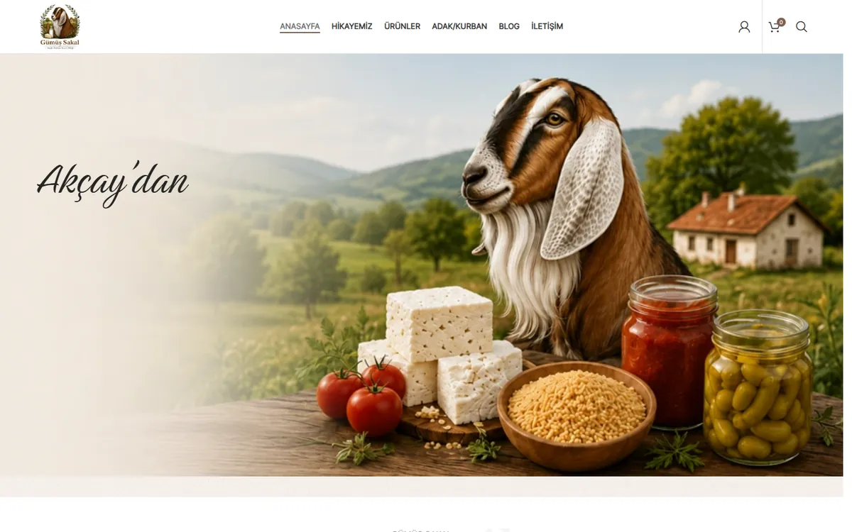 gumussakal.com ana sayfası